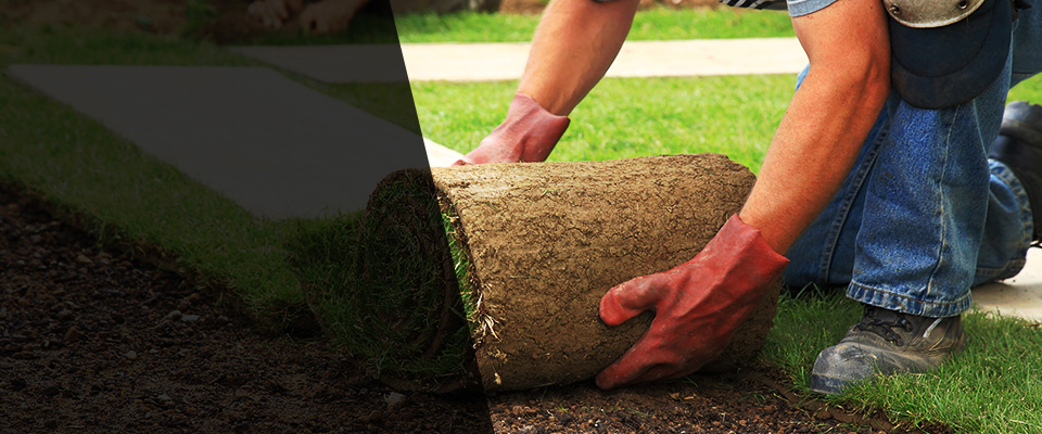 Fall Creek Landscapers